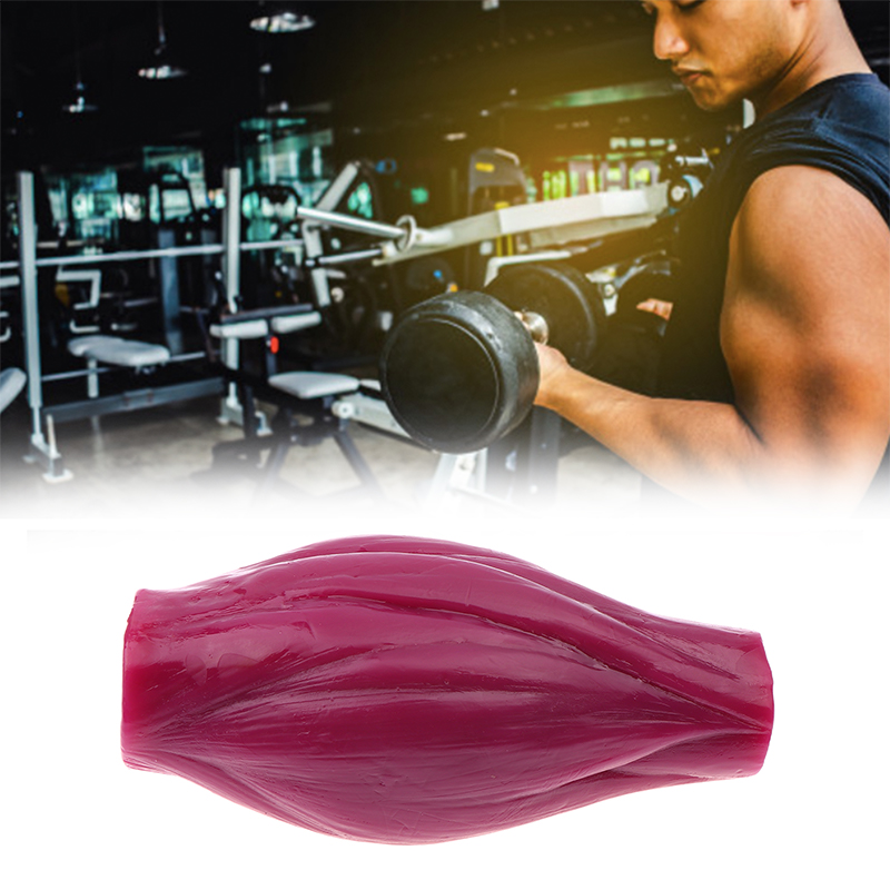 1lb Muscle to Keep Fit & Weigh - Nutrition For Fitness Course review and price