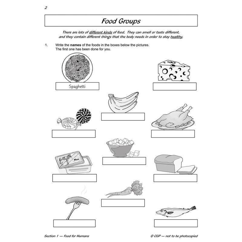 KS2 Science Year Three Workout - Nutrition Workout review and price