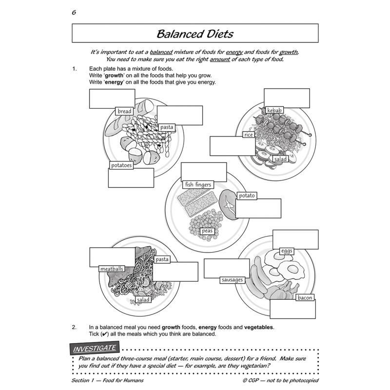 KS2 Science Year Three Workout - Nutrition Workout review and price