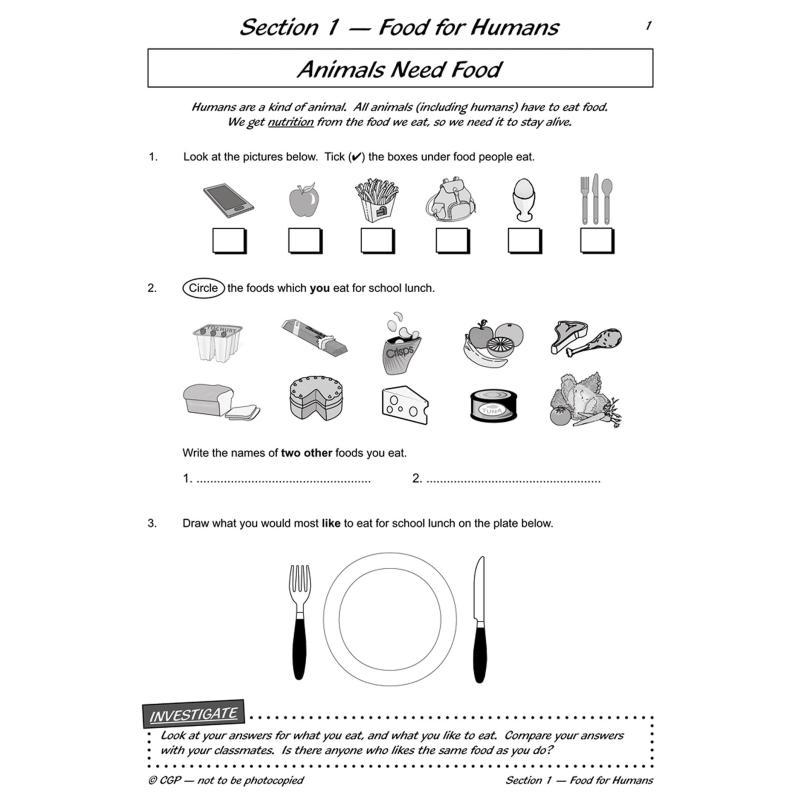 KS2 Science Year Three Workout - Nutrition Workout review and price